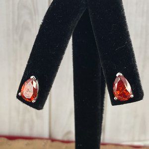 Red and Silver Elegant Earrings with Rich Gemstones